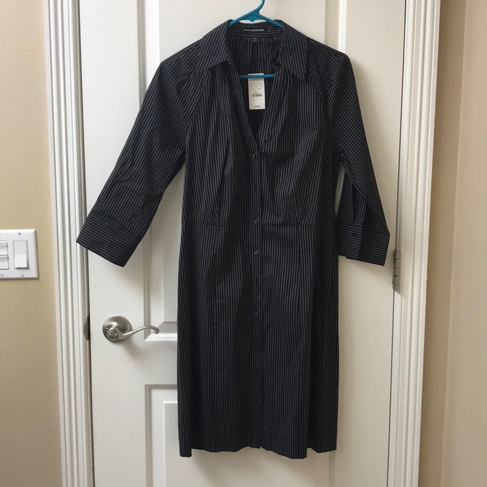 Pinstriped Express Button Down Dress